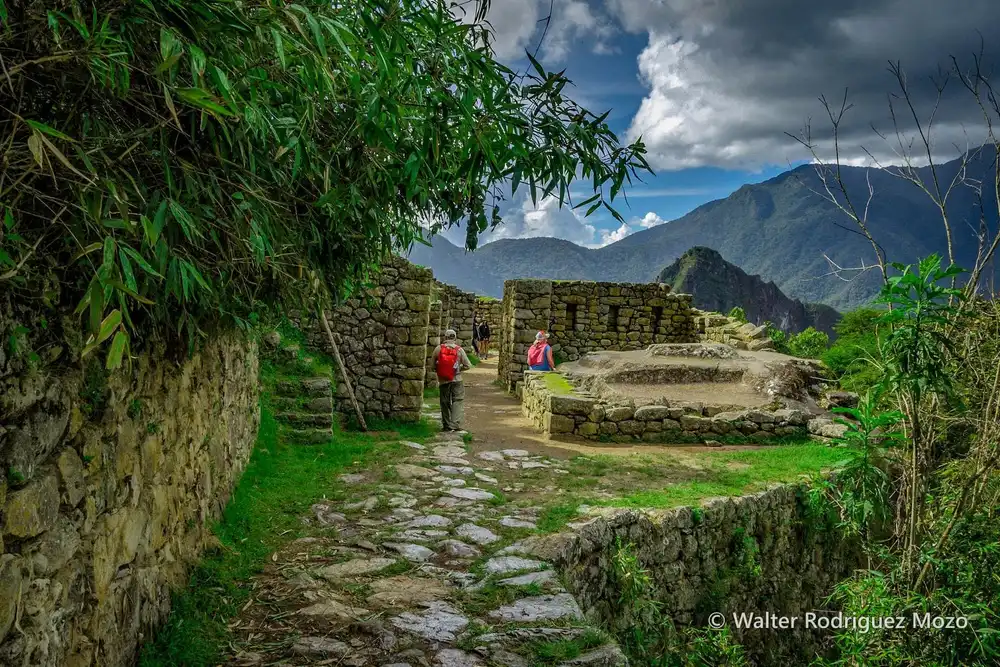 Stone steps on the trail into the citadel.